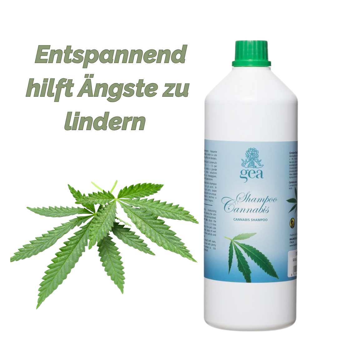 Baldecchi® GEA Cannabis-Hundeshampoo mit Hanföl Baldecchi® 1l