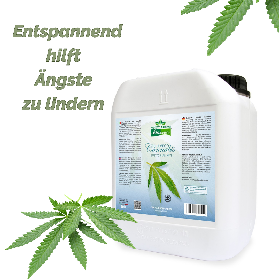 Baldecchi® GEA Cannabis-Hundeshampoo mit Hanföl 5l
