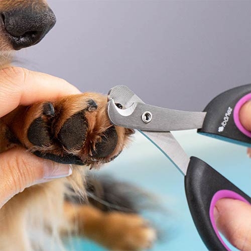 IBÁÑEZ® Krallenschere für kleine Hunde IBÁÑEZ® Krallenschere für kleine Hunde