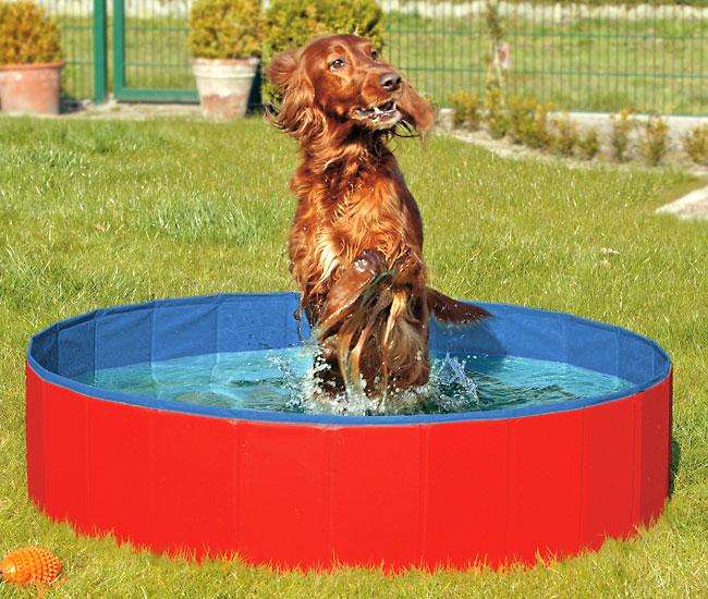Karlie DOGGY POOL der Swimmingpool für Hunde - Rot-Blau - 80 cm Karlie DOGGY POOL der Swimmingpool für Hunde - Rot-Blau - 80 cm