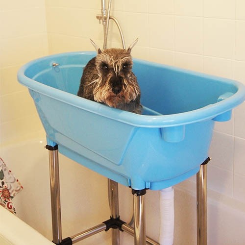 Ibanez® Leichte tragbare Stand-Badewanne für Hunde Ibanez® Leichte tragbare Stand-Badewanne für Hunde
