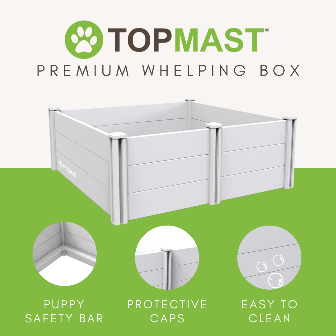 Topmast Wurfkiste aus Kunststoff - 80 x 80 x 46 cm - Ohne Auslauf