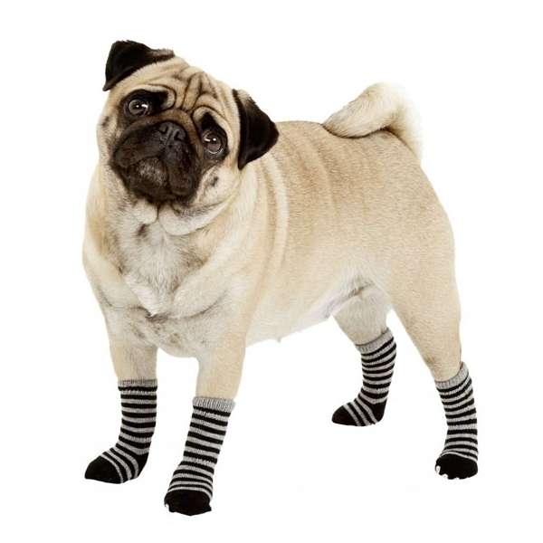 Karlie Doggy Socks Hundesocken 4er Set - Schwarz/Grau - XS Karlie Doggy Socks Hundesocken 4er Set - Schwarz/Grau - XS