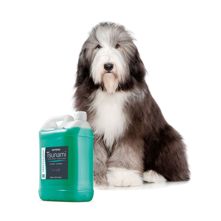 ARTERO® Super entfettendes Basis-Shampoo "Tsunami" 5l ARTERO® Super entfettendes Basis-Shampoo "Tsunami" 5l