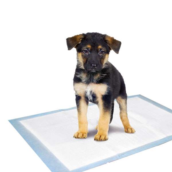 Karlie Flamingo Puppy Pads Trainingsmatten - 60 x 40 cm / 10 Stk Karlie Flamingo Puppy Pads Trainingsmatten - 60 x 40 cm / 10 Stk
