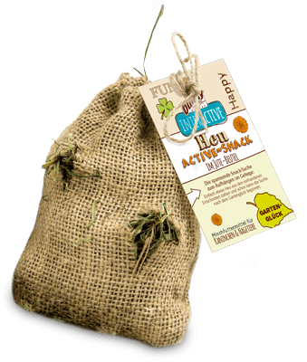 Bunny Heu Active-Snack Lieblingsgemüse 30g Bunny Heu Active-Snack Lieblingsgemüse 30g