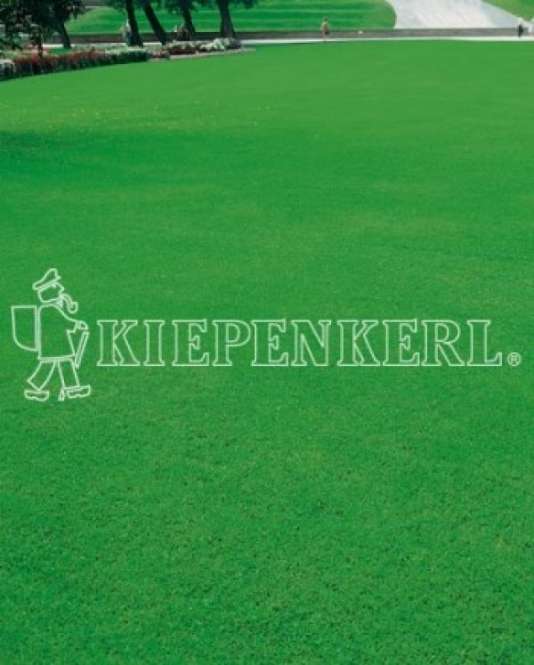 Kiepenkerl RSM 1.1.1 Zierrasen Edel 10kg Kiepenkerl RSM 1.1.1 Zierrasen Edel 10kg