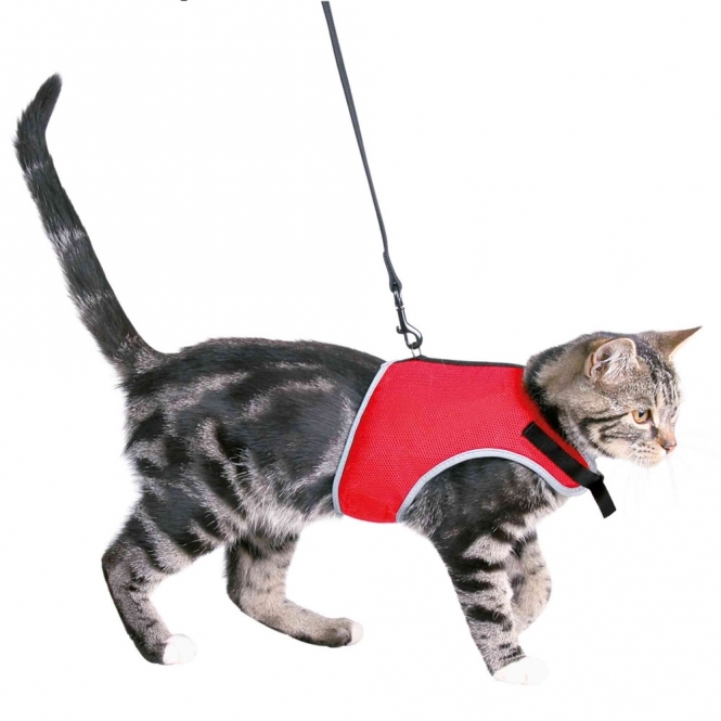 Trixie Katzen-Softgeschirr mit Leine Trixie Katzen-Softgeschirr mit Leine