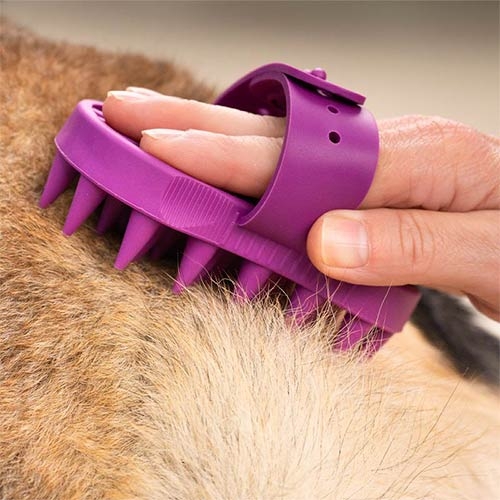 IBÁÑEZ® Gummistriegel mit Handschlaufe und langen Gumminoppen IBÁÑEZ® Gummistriegel mit Handschlaufe und langen Gumminoppen