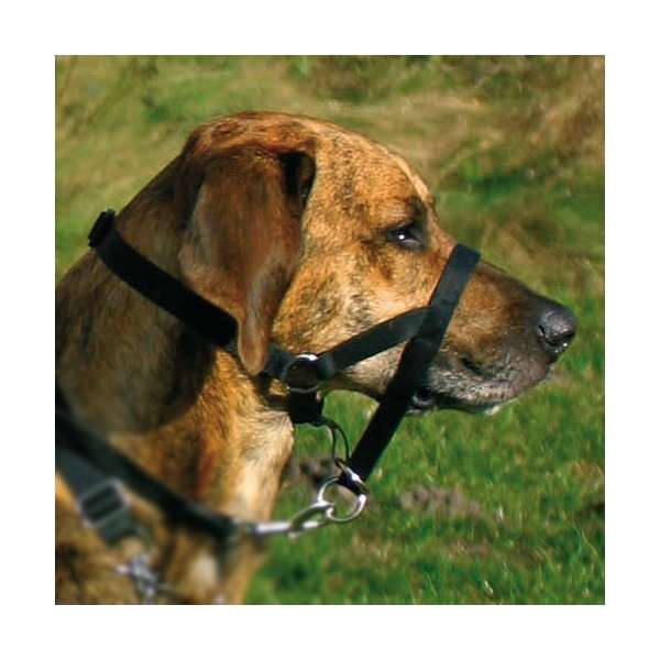Trixie Top Trainer Ausbildungsgeschirr - max. 22 cm Trixie Top Trainer Ausbildungsgeschirr - max. 22 cm