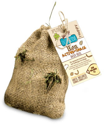 Bunny Heu Active-Snack Die wilden 13 30g Bunny Heu Active-Snack Die wilden 13 30g
