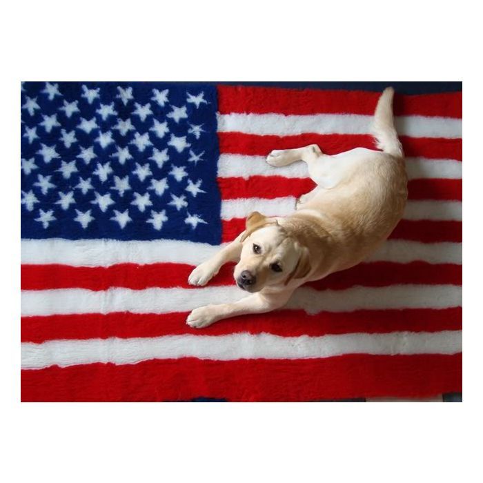 Vet Bed Flagge USA – Anti Rutsch 150cm x100cm Vet Bed Flagge USA – Anti Rutsch 150cm x100cm