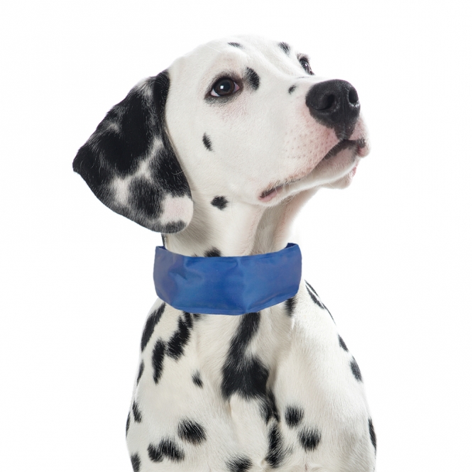 PROCYON Kühl-Bandana für Hunde - L PROCYON Kühl-Bandana für Hunde - L