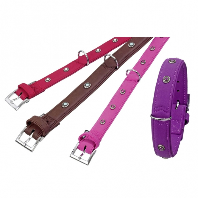 Karlie Art Buffalo Deco Halsband - Lila - 50cm / 30mm Karlie Art Buffalo Deco Halsband - Lila - 50cm / 30mm