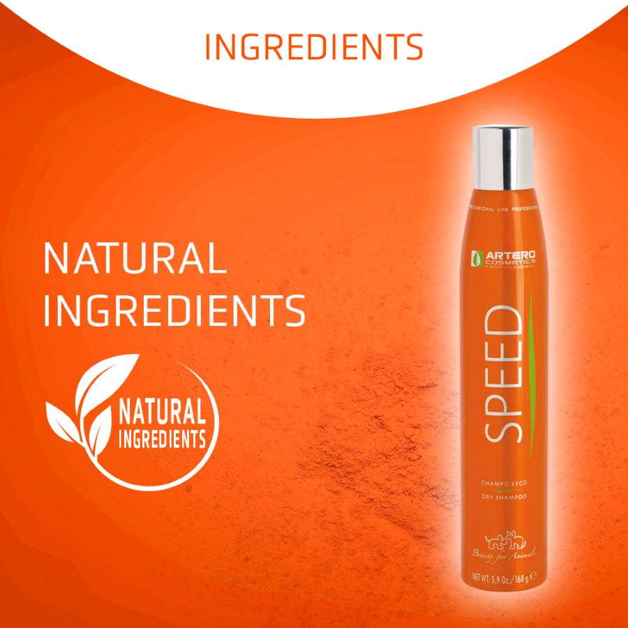 ARTERO® Trockenshampoo-Spray "SPEED"