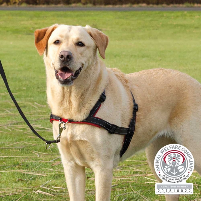 Trixie Trainingsgeschirr Lead'n'Walk Soft - L-XL Trixie Trainingsgeschirr Lead'n'Walk Soft - L-XL