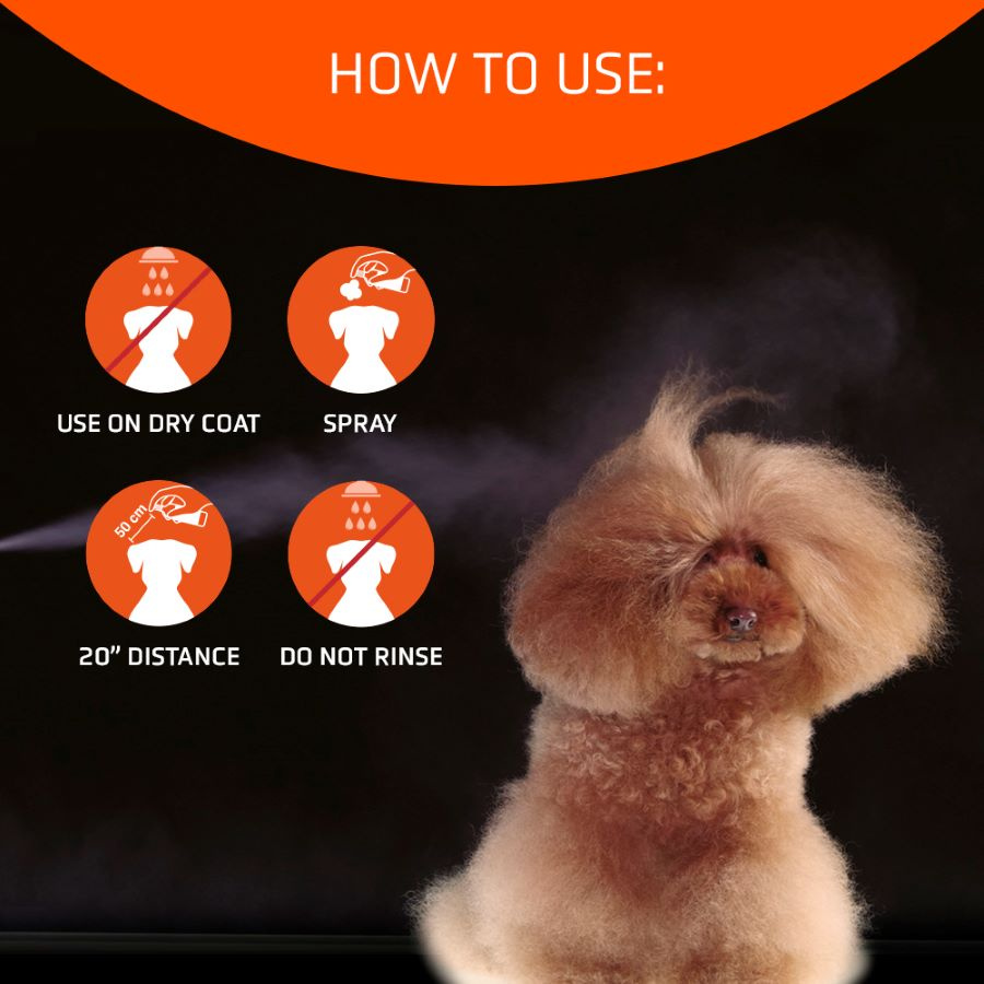 ARTERO® Trockenshampoo-Spray "SPEED"