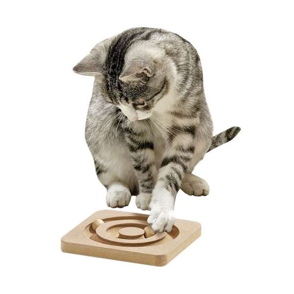 Karlie Kitty Brain Train Roundabout Karlie Kitty Brain Train Roundabout