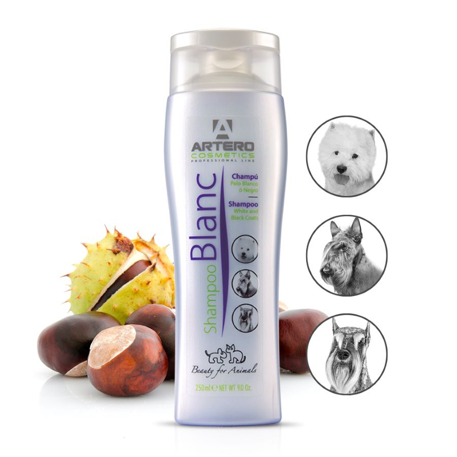 ARTERO® Farbintensivierendes Hundeshampoo 'Blanc' 250ml