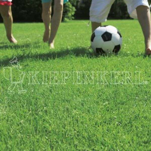 Kiepenkerl RSM 2.3 Gebrauchsrasen Spielrasen mit Poa supina 10 kg Kiepenkerl RSM 2.3 Gebrauchsrasen Spielrasen mit Poa supina 10 kg