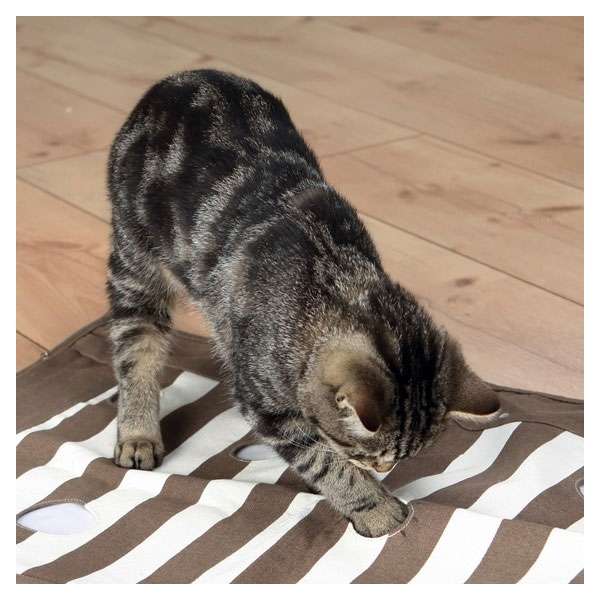 Trixie Cat Activity Pföteldecke - 70 x 50 cm Trixie Cat Activity Pföteldecke - 70 x 50 cm