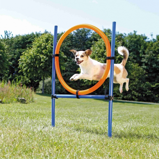 Trixie Agility Ring Trixie Agility Ring