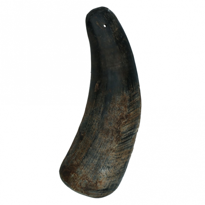 Viking half Horn - L Viking half Horn - L