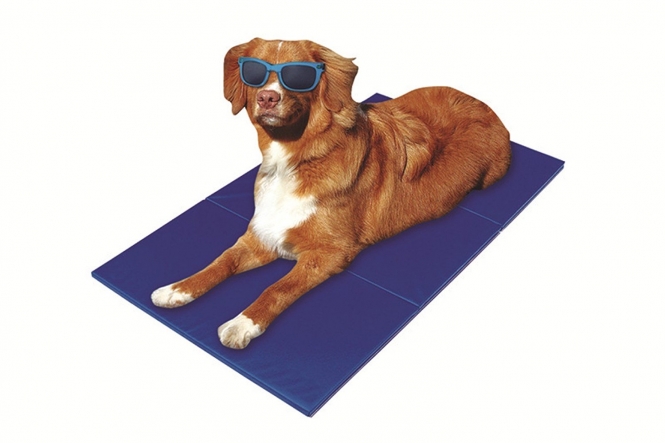 Pet-Star Kühlmatte - 110 x 70 cm Pet-Star Kühlmatte - 110 x 70 cm